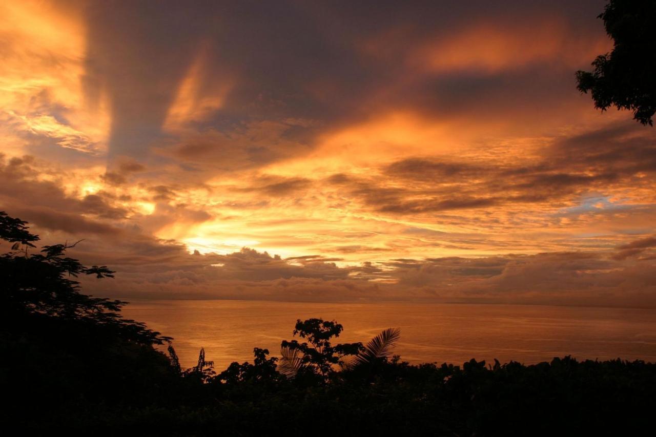 Villa Kiskadee - Beautiful Mountain Views With Private Pool Quepos Exterior foto