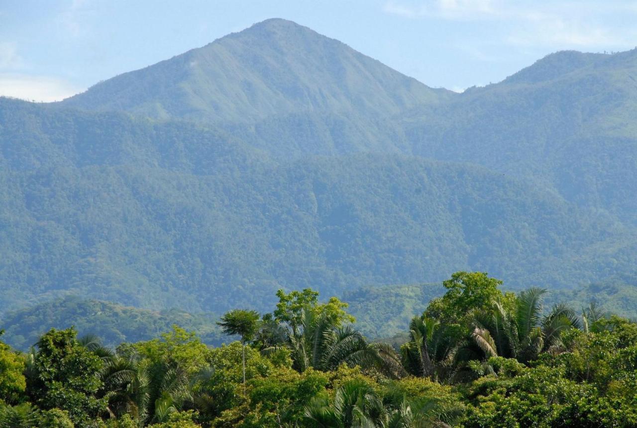 Villa Kiskadee - Beautiful Mountain Views With Private Pool Quepos Exterior foto